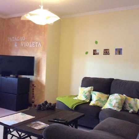Patacao&Violeta Apartment Faro Ngoại thất bức ảnh